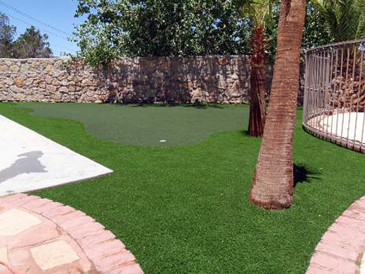 Plastic Grass Ferris, Texas Outdoor Putting Green, Backyard Design