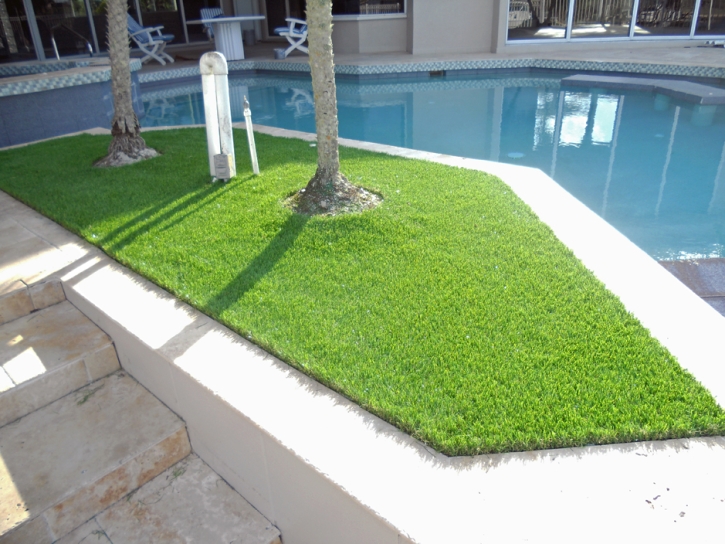 Plastic Grass Flower Mound, Texas Rooftop, Natural Swimming Pools
