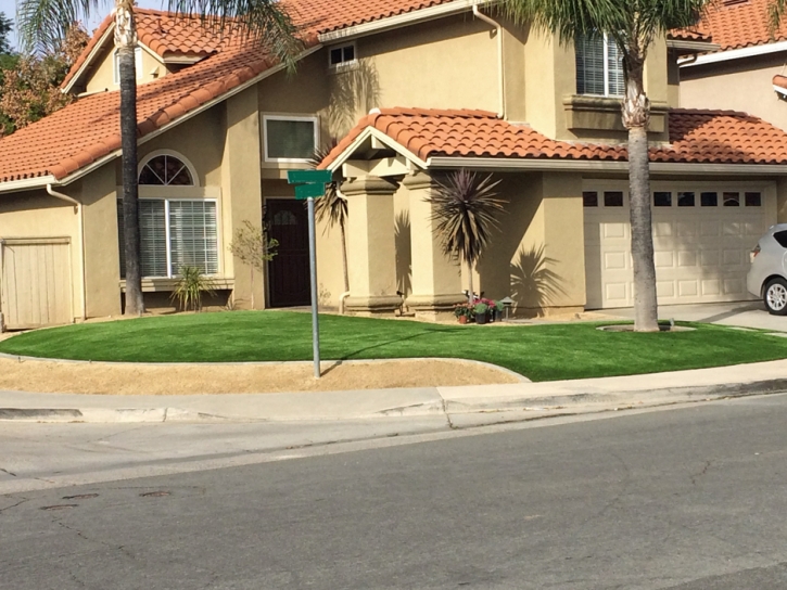 Plastic Grass Fort Worth, Texas Rooftop, Front Yard Ideas