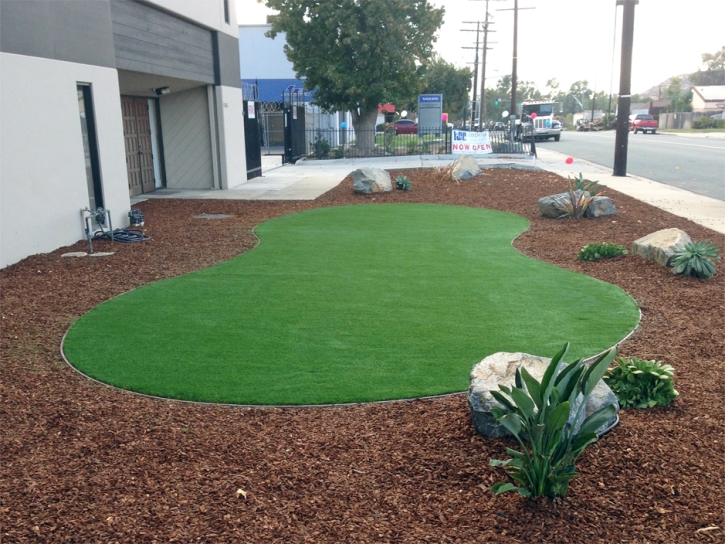 Plastic Grass Palmhurst, Texas Landscape Ideas, Commercial Landscape