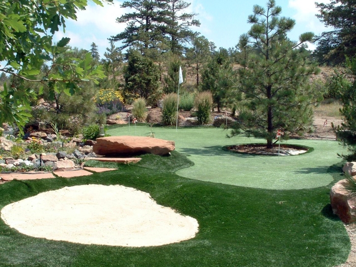 Plastic Grass Seth Ward, Texas Office Putting Green, Backyards