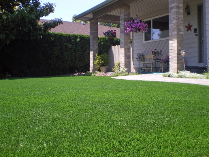 Plastic Grass Tomball, Texas Landscape Design, Front Yard Design