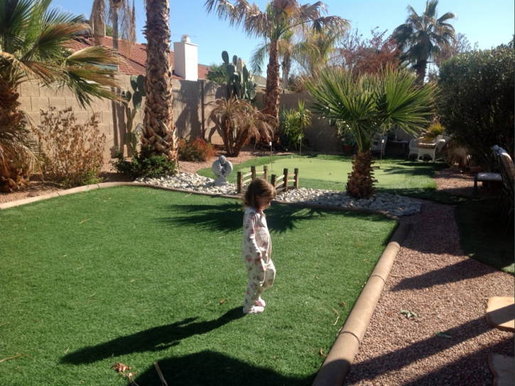 Synthetic Grass Bridgeport, Texas Backyard Putting Green, Backyard Landscaping