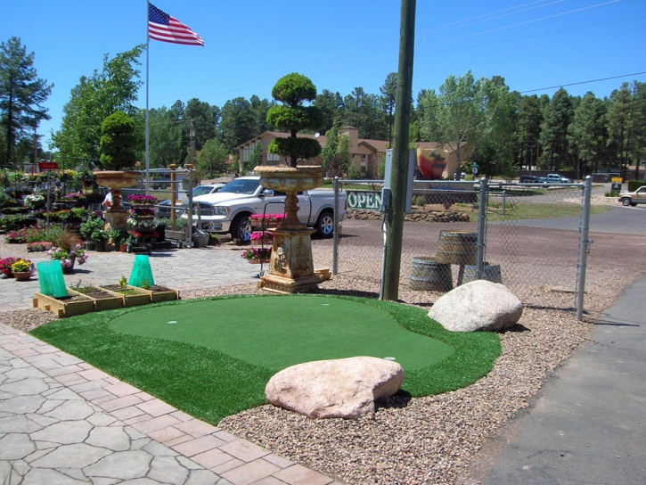 Synthetic Grass Burkburnett, Texas Design Ideas, Commercial Landscape