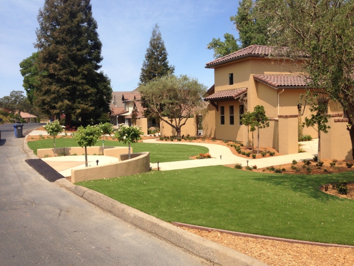 Synthetic Grass Cost Cibolo, Texas City Landscape, Front Yard Landscaping