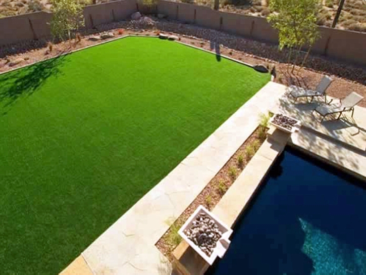 Synthetic Grass Cost Freer, Texas Garden Ideas, Backyard Makeover