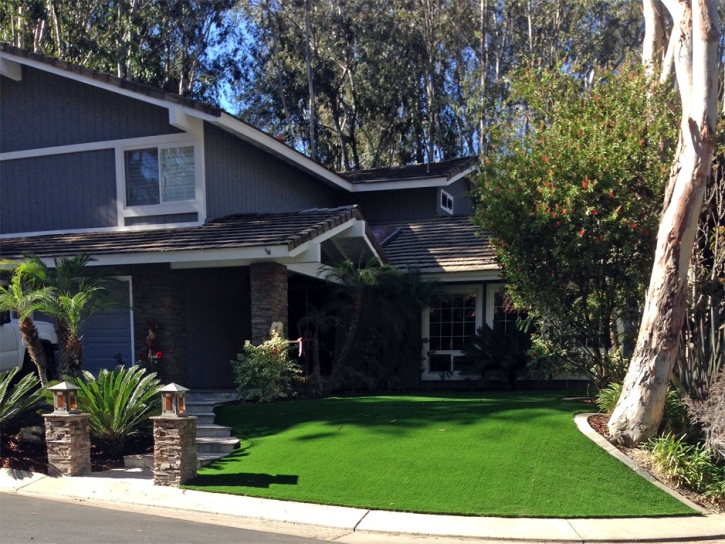 Synthetic Grass Cost Fritch, Texas Landscape Ideas, Front Yard Landscape Ideas