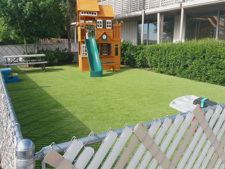 Synthetic Grass Cost Georgetown, Texas Lacrosse Playground, Small Backyard Ideas
