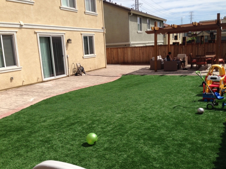 Synthetic Grass Cost Sachse, Texas Landscape Photos, Backyard Designs