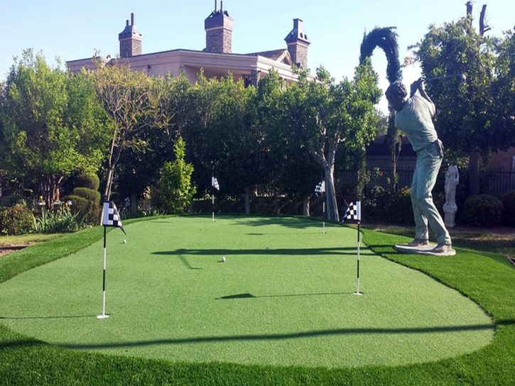 Synthetic Grass Cost Sunnyvale, Texas Putting Green Carpet, Backyard Designs