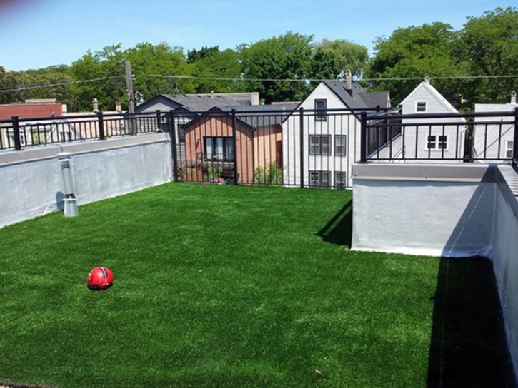 Synthetic Grass Denison, Texas Landscape Photos, Roof Top