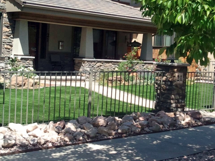 Synthetic Grass Garden Ridge, Texas Landscape Ideas, Front Yard Ideas