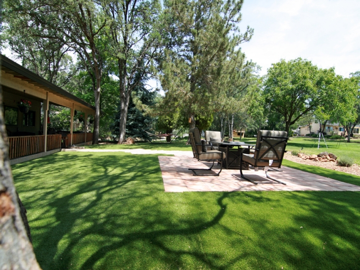 Synthetic Grass Haltom City, Texas Landscape Ideas, Beautiful Backyards