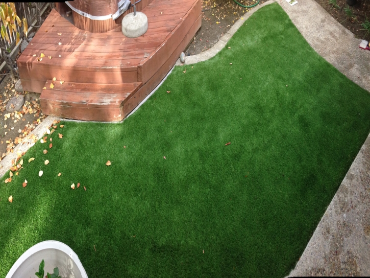 Synthetic Grass Idalou, Texas Landscape Design, Small Backyard Ideas