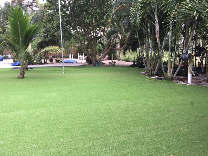 Synthetic Grass Marshall, Texas Landscaping Business, Commercial Landscape