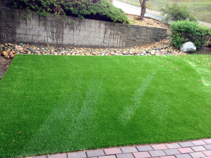 Synthetic Grass Mauriceville, Texas Design Ideas, Backyard Ideas