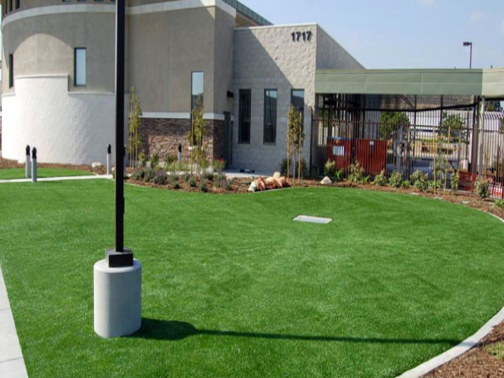 Synthetic Grass McGregor, Texas Roof Top, Commercial Landscape