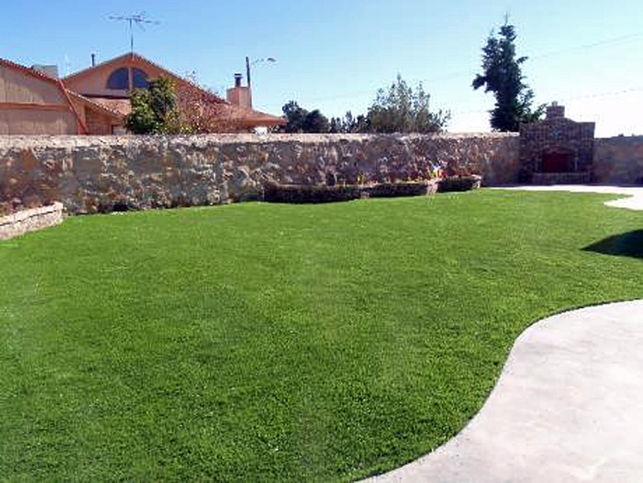 Synthetic Grass Shepherd, Texas City Landscape, Small Backyard Ideas