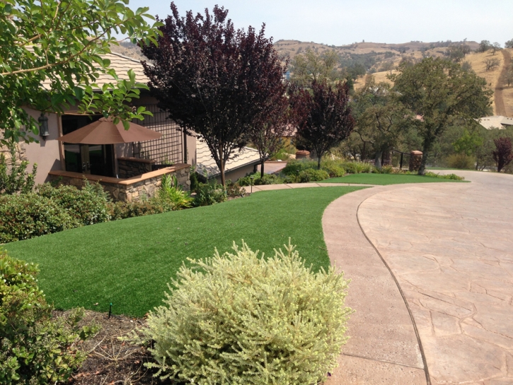 Synthetic Grass West University Place, Texas Design Ideas, Small Front Yard Landscaping