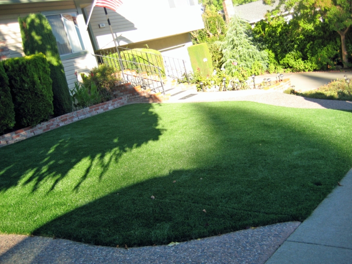 Synthetic Grass Winnsboro, Texas Rooftop, Front Yard Landscaping Ideas