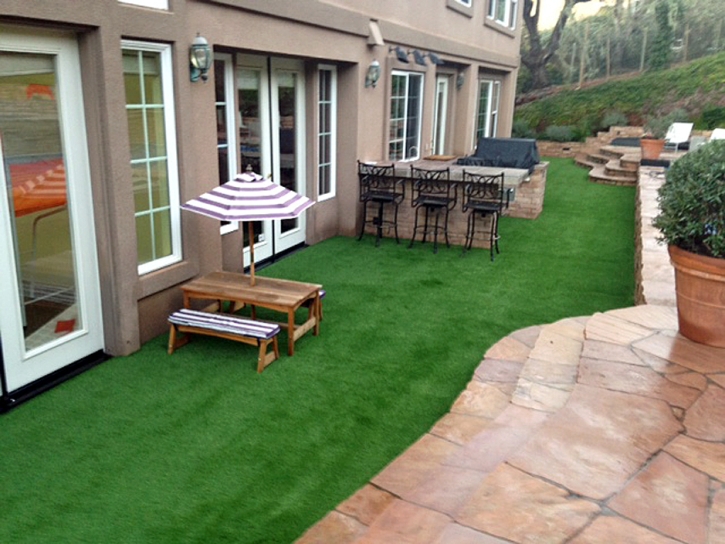 Synthetic Lawn Baytown, Texas Landscaping Business, Backyard