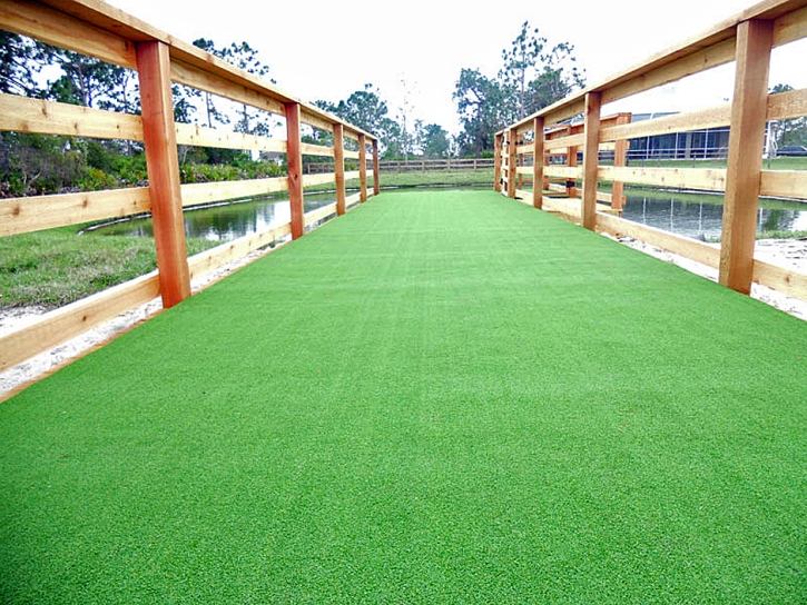 Synthetic Lawn Bunker Hill Village, Texas Dog Hospital, Commercial Landscape