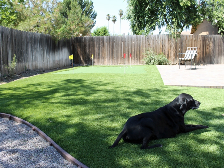 Synthetic Lawn Duncanville, Texas Grass For Dogs, Beautiful Backyards