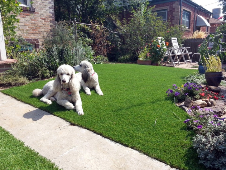 Synthetic Lawn Horseshoe Bay, Texas Fake Grass For Dogs, Front Yard Design