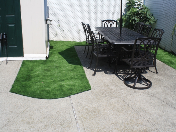 Synthetic Lawn Laguna Heights, Texas Landscaping, Backyard Landscape Ideas