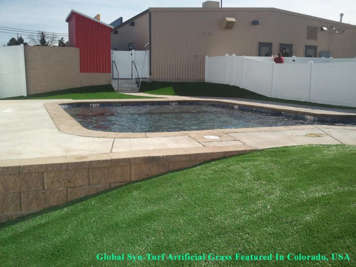 Synthetic Lawn McAllen, Texas Landscape Ideas, Kids Swimming Pools