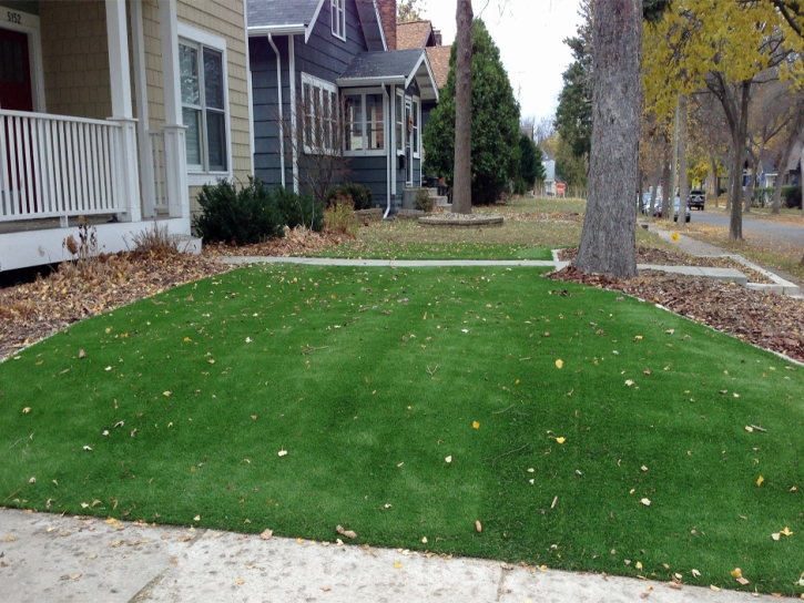 Synthetic Lawn Port Lavaca, Texas Design Ideas, Front Yard Landscaping