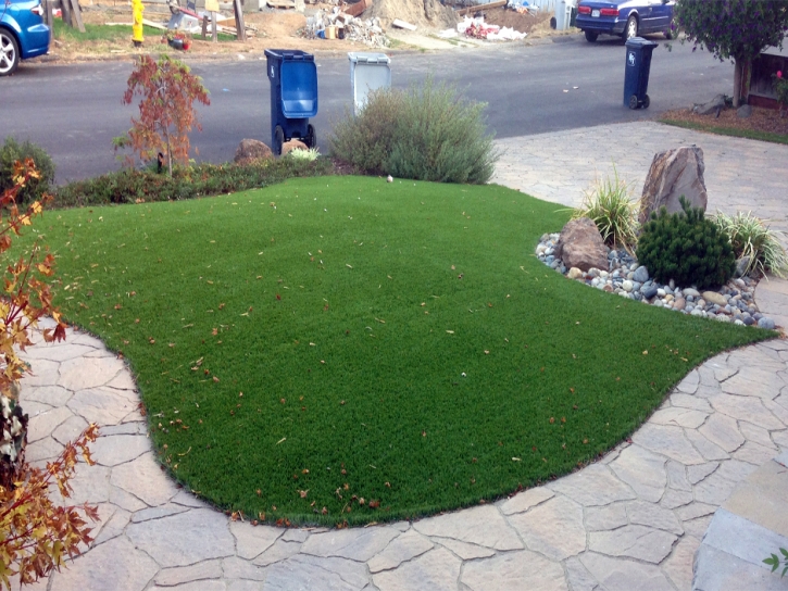 Synthetic Lawn Shady Shores, Texas Gardeners