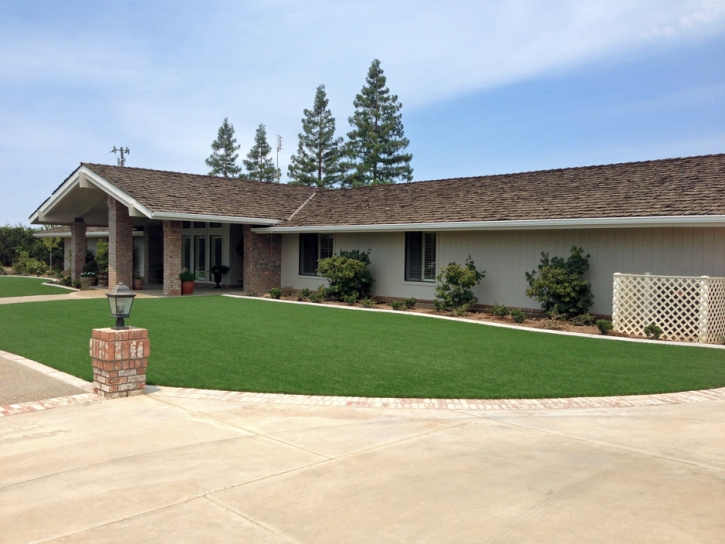 Synthetic Lawn Uvalde, Texas Landscaping Business, Front Yard Landscape Ideas
