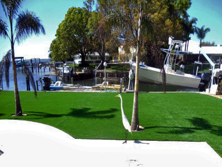 Synthetic Turf Beaumont, Texas City Landscape, Backyard Landscaping