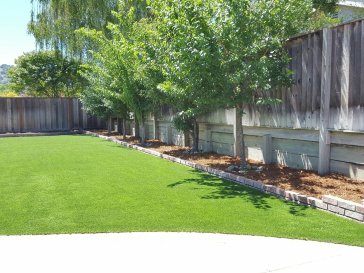 Synthetic Turf Ennis, Texas Paver Patio, Backyard Landscaping Ideas