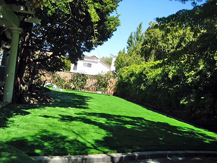 Synthetic Turf Grapevine, Texas Lawn And Landscape, Backyard Landscape Ideas
