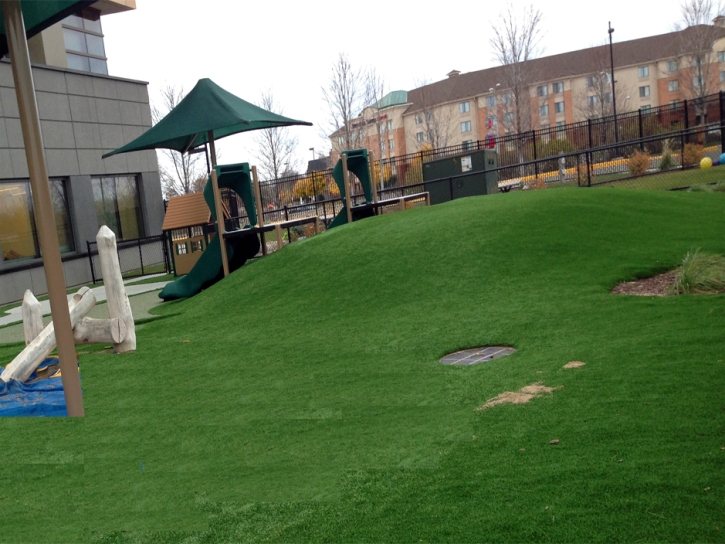 Synthetic Turf Hickory Creek, Texas Roof Top, Commercial Landscape