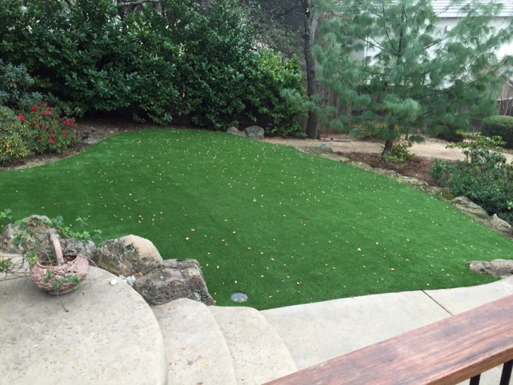 Synthetic Turf Huntsville, Texas Lawns, Backyard Landscape Ideas