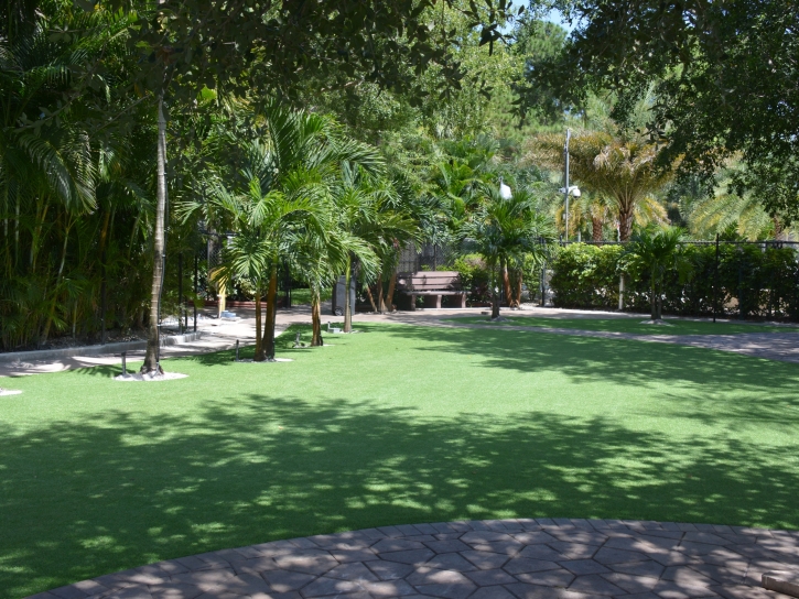 Synthetic Turf Lake Jackson, Texas Landscape Ideas, Pavers