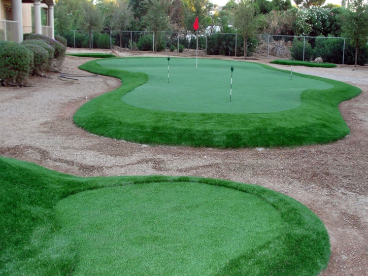 Synthetic Turf Lewisville, Texas Backyard Putting Green, Backyard Design