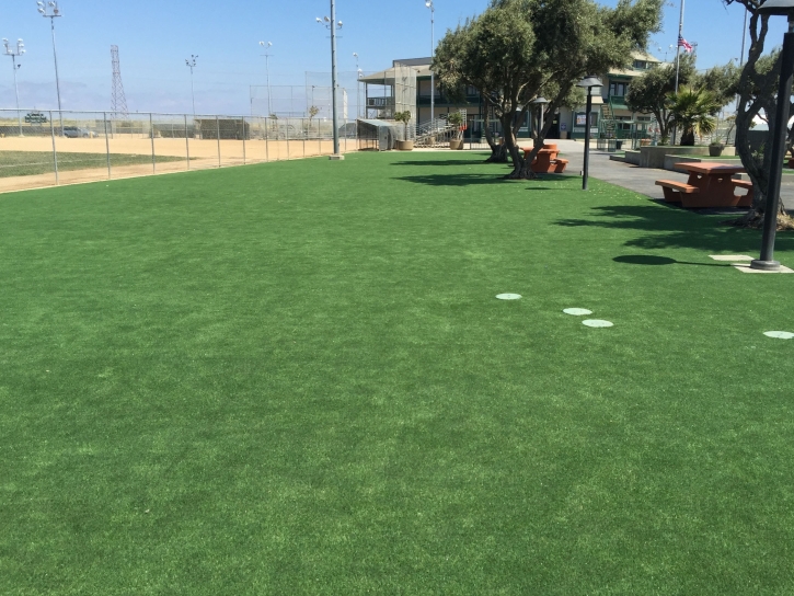 Synthetic Turf Supplier Angleton, Texas Landscape Photos, Parks
