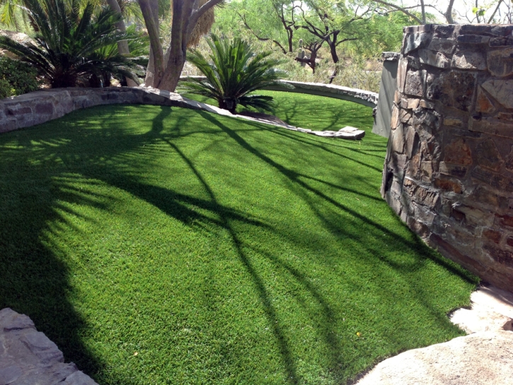 Synthetic Turf Supplier Eagle Lake, Texas Dog Grass