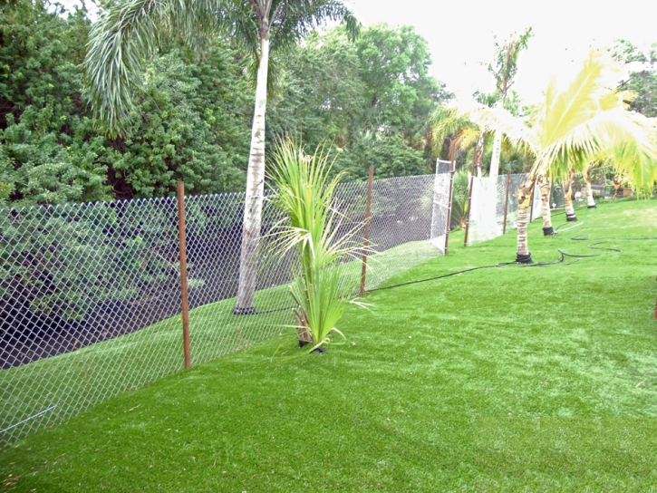 Synthetic Turf Supplier Pearsall, Texas Backyard Playground, Backyard