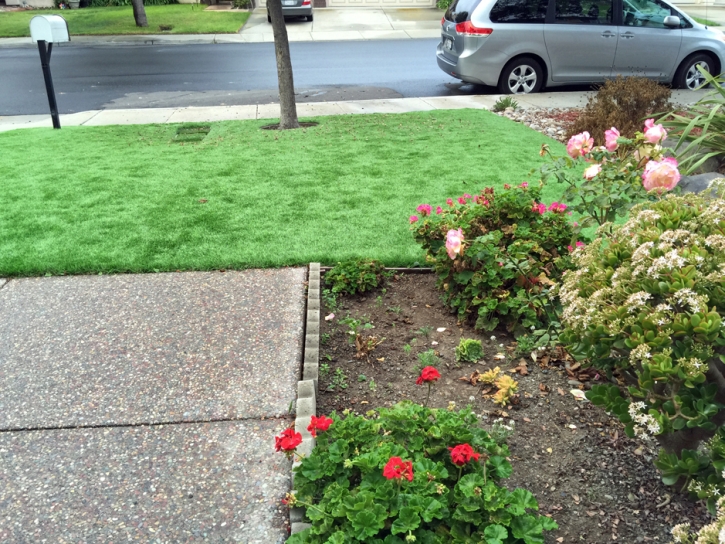 Synthetic Turf Waller, Texas Dog Running, Front Yard Ideas