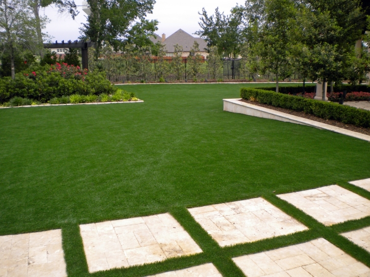 Turf Grass Atascocita, Texas Roof Top, Backyard Ideas