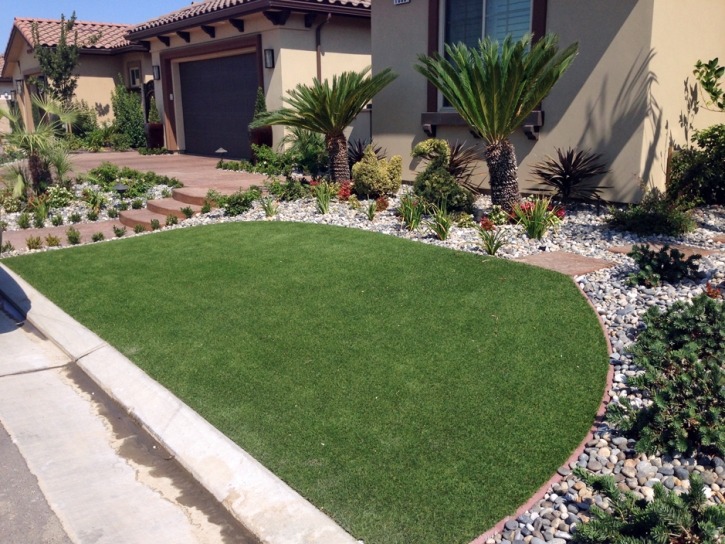 Turf Grass Bellaire, Texas Rooftop, Front Yard Landscaping Ideas