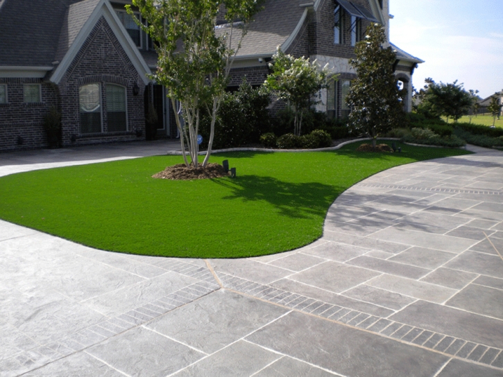 Turf Grass Rockdale, Texas Gardeners, Front Yard