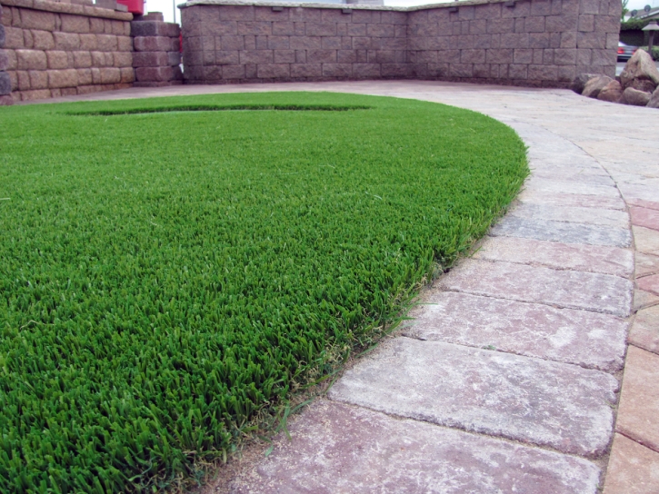 Turf Grass Wilmer, Texas Roof Top, Front Yard